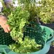 FOREST GREEN STACKABLE BASKET