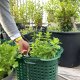 SET OF 5 FOREST GREEN STACKABLE BASKETS