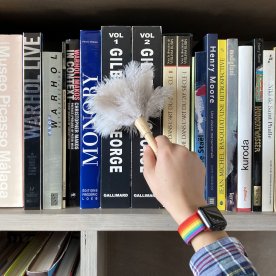 PLUMEAU EN PLUMES D'AUTRUCHES, LE MINI