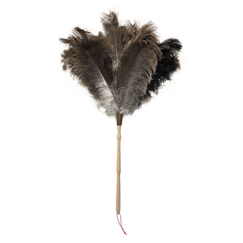 Plumeau de plumes d'autruche vintage grand, nettoyeur de poussière, plumeau  de grande envergure -  France