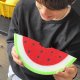 WATERMELON SPONGE