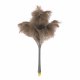 DUSTER TELESCOPIC