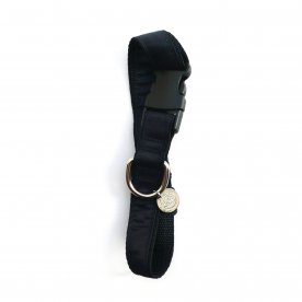 COLLIER POUR CHIEN LARGE